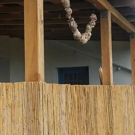 Affittacamere Casa Caterina *